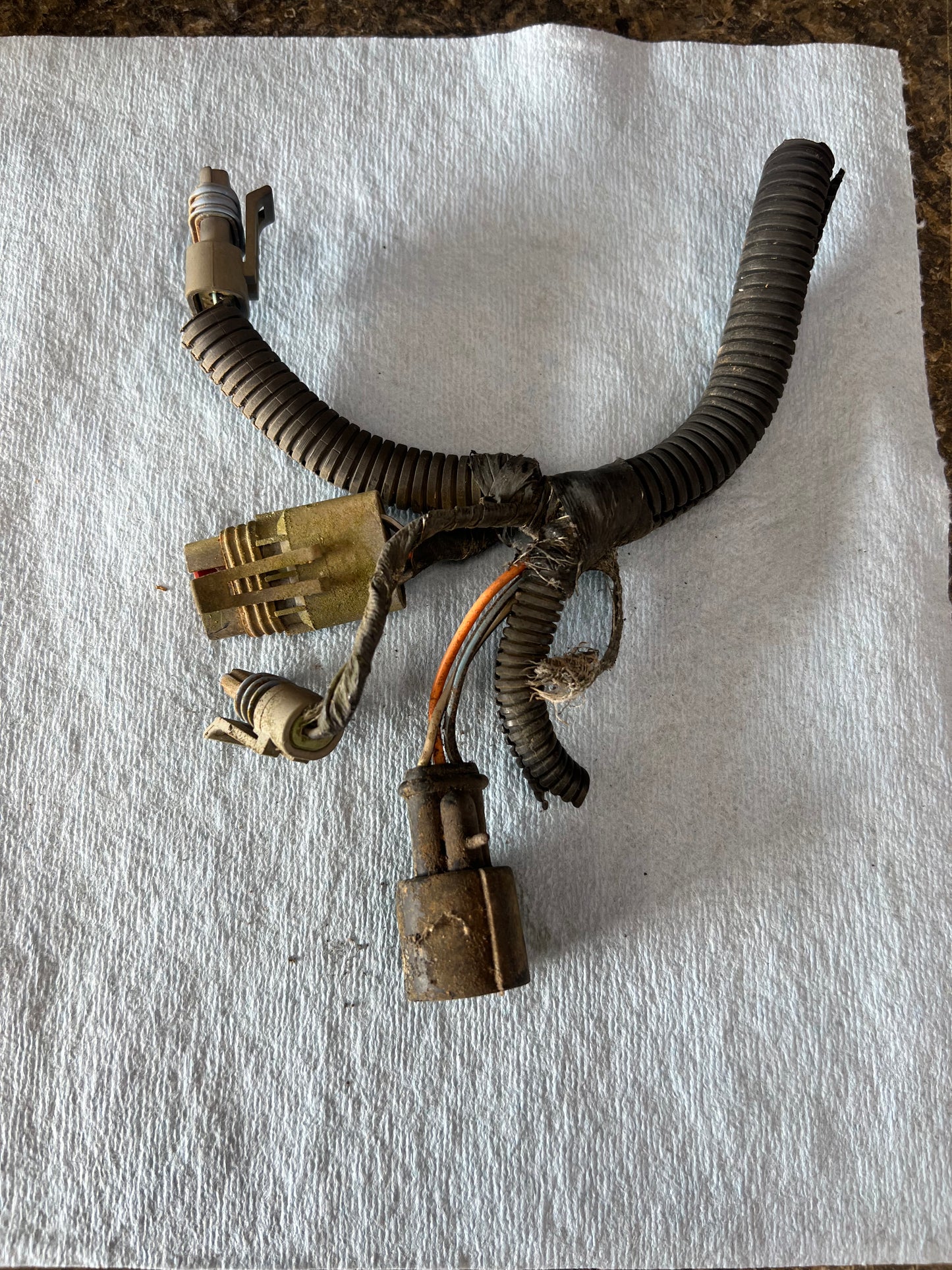 1991-92 Jeep Crank Sensor Plug